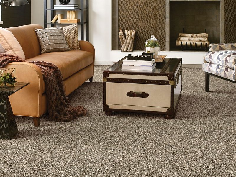 Cappuccino color living room from Horrigan Flooring Center in Westminster